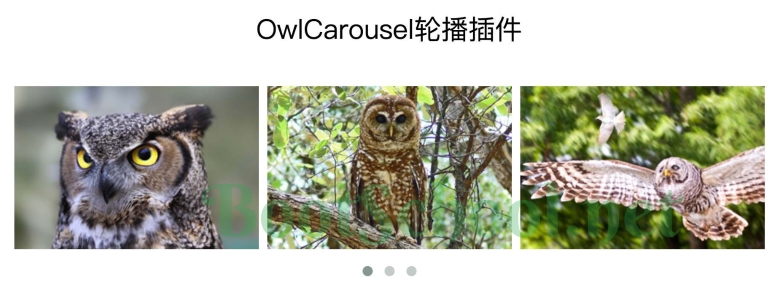 基于jQuery的旋转木马幻灯片轮播插件Owl Carousel示例